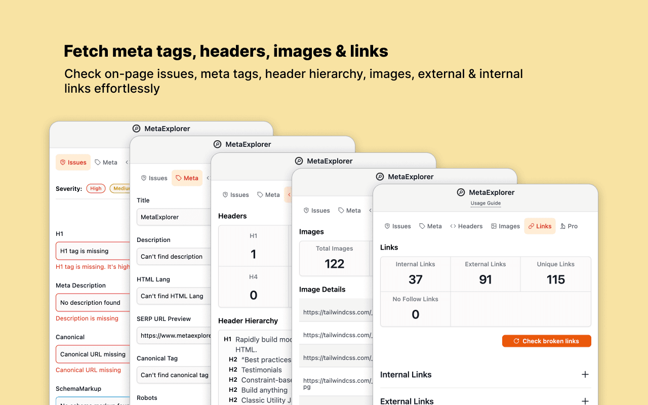 meta explorer